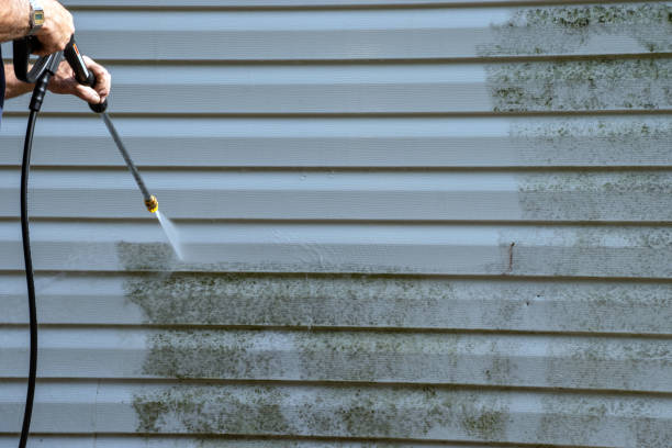 Best Hoarding Cleanup  in Bluffton, IN