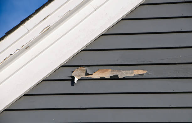  Bluffton, IN Junk Removal Pros